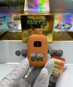 Burtz-Master-Case-Premium-Live-Diamonds-2G-Disposables-300x300