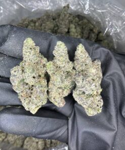 Buy Double Bubblegum Strain uk